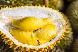 &#91; COC Regional : Makanan Tradisional &#93; Lempuk Durian Legendaris Bengkulu