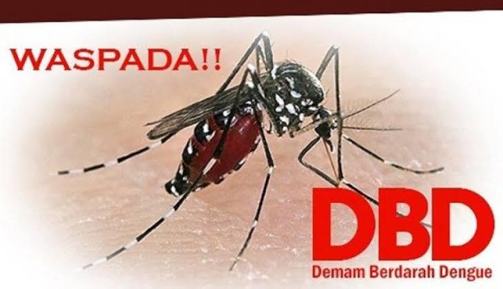 34 Warga Kota Tangerang Positif Terjangkit DBD