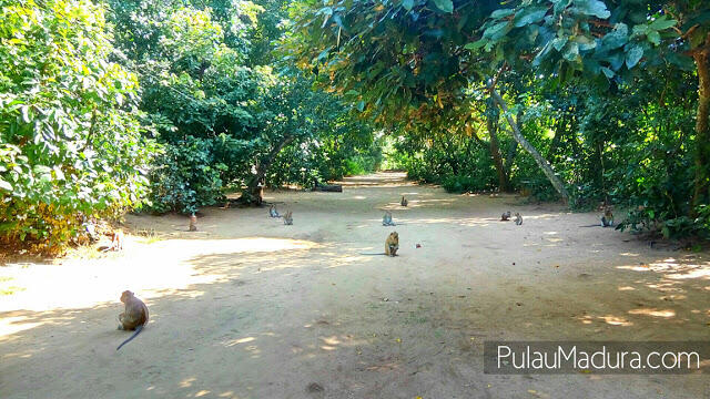 &#91;COC Regional : Lokasi Wisata&#93; Bukit dan Pantai Paling Unik di Madura Versi Ane