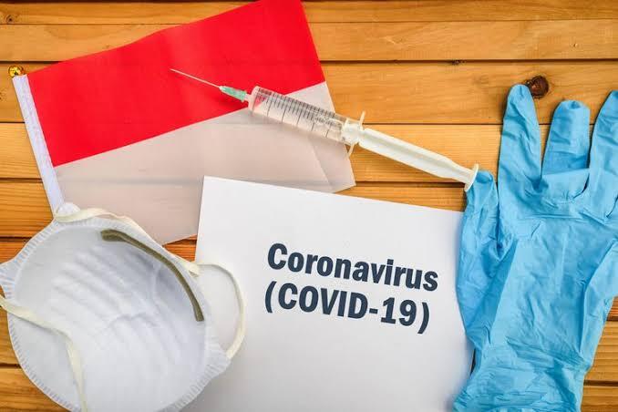 Virus Corona (covid-19) Itu Sembuh Sendiri, Terus Ngapain Lock Down, Sterilisisasi? 