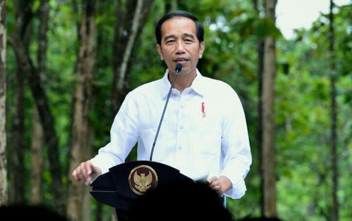 Ada Corona, Jokowi Minum Jamu Tiga Kali Sehari! Ini Resepnya
