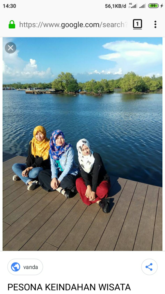 &#91; COC Regional : Lokasi Wisata &#93; Kenyamanan Hutan Mangrove Pulau Baai