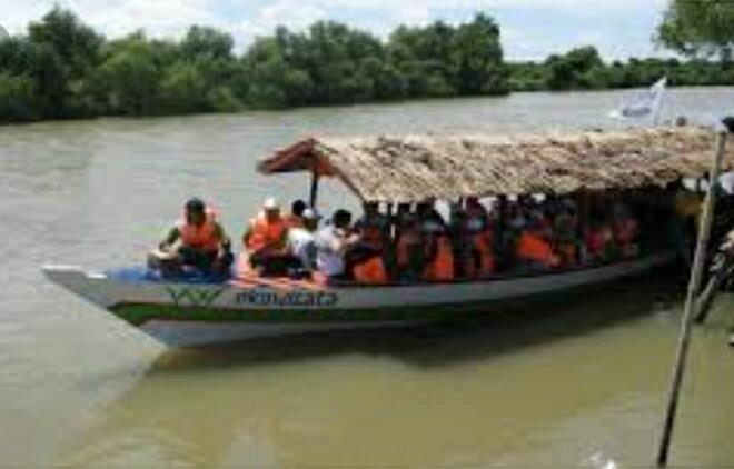 &#91; COC Regional : Lokasi Wisata &#93; Kenyamanan Hutan Mangrove Pulau Baai