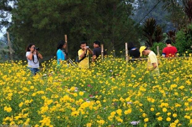 &#91; COC Regional : Lokasi Wisata &#93; Danau Mas Harun Bastari Rejang Lebong