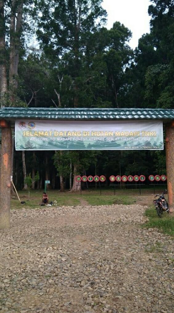 &#91; COC Regional : Lokasi Wisata &#93; Hutan Wisata Madapi Curup Rejang Lebong Bengkulu