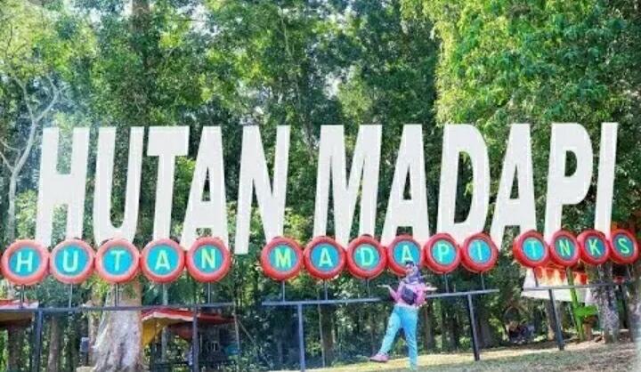 &#91; COC Regional : Lokasi Wisata &#93; Hutan Wisata Madapi Curup Rejang Lebong Bengkulu