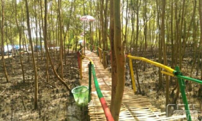 &#91; COC Regional : Lokasi Wisata &#93; Hutan Wisata Madapi Curup Rejang Lebong Bengkulu