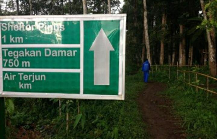 &#91; COC Regional : Lokasi Wisata &#93; Hutan Wisata Madapi Curup Rejang Lebong Bengkulu