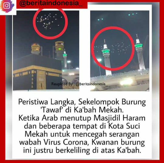Peristiwa Langka Burung Tawaf Di Ka'bah