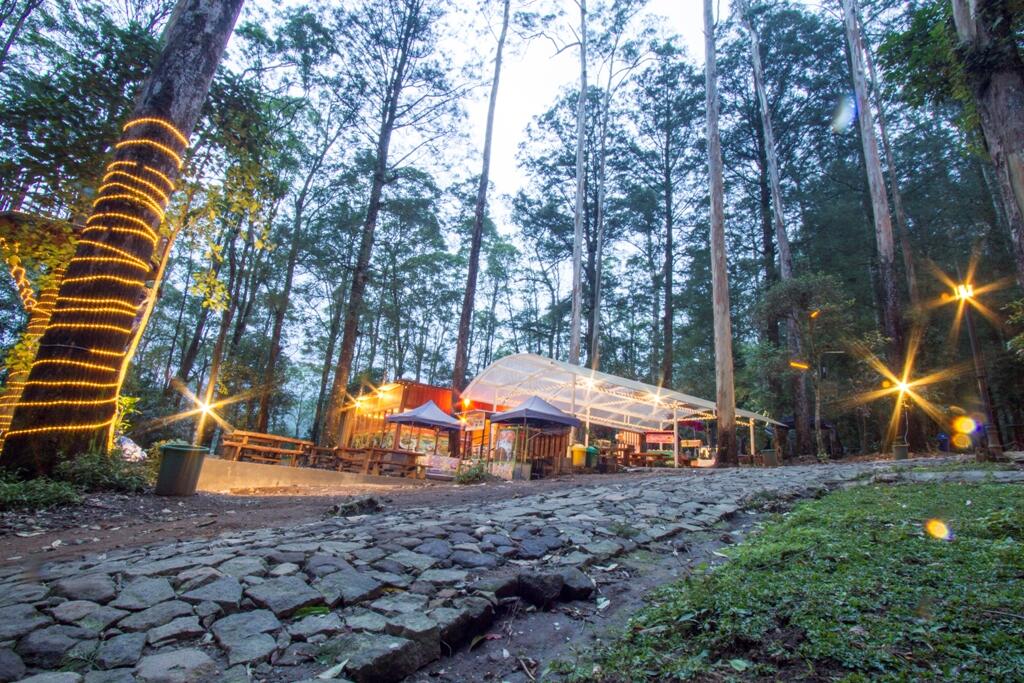 &#91;COC Regional : Lokasi Wisata&#93; Wisata Camping Mojosemi Forest Park