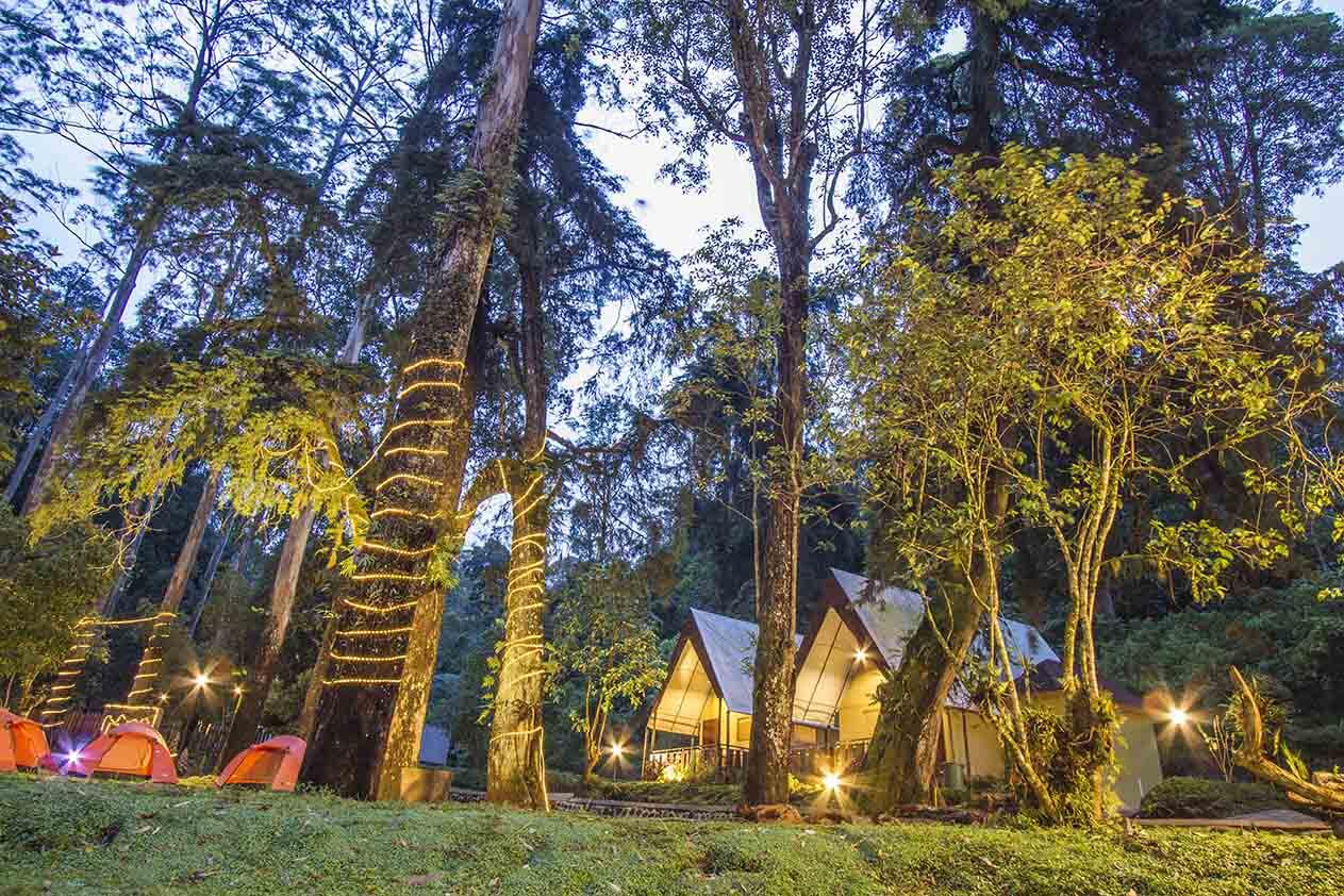 &#91;COC Regional : Lokasi Wisata&#93; Wisata Camping Mojosemi Forest Park