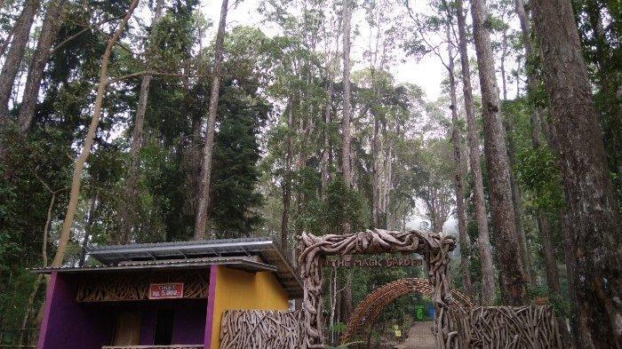 Lawu Green Forest pesona wana wisata hutan Magetan KASKUS