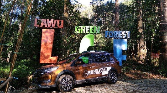 &#91;COC Regional : Lokasi Wisata&#93; Lawu Green Forest pesona wana wisata hutan Magetan