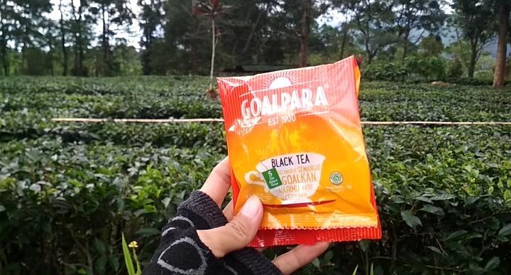 &#91;COC Regional : Lokasi Wisata&#93; Agrowisata Gunung Mas, Cocok bareng Teman &amp; Keluarga