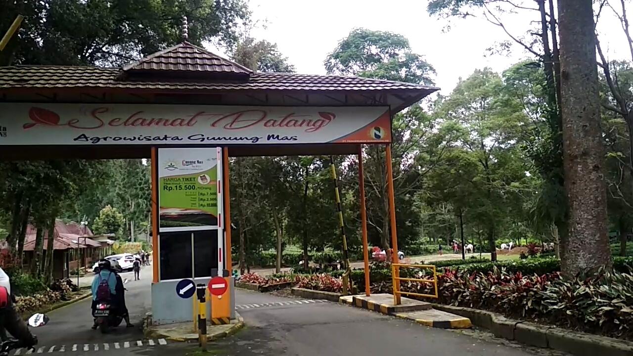 &#91;COC Regional : Lokasi Wisata&#93; Agrowisata Gunung Mas, Cocok bareng Teman &amp; Keluarga