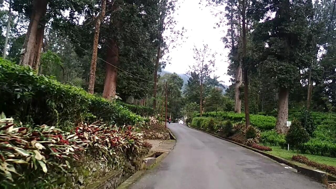 &#91;COC Regional : Lokasi Wisata&#93; Agrowisata Gunung Mas, Cocok bareng Teman &amp; Keluarga