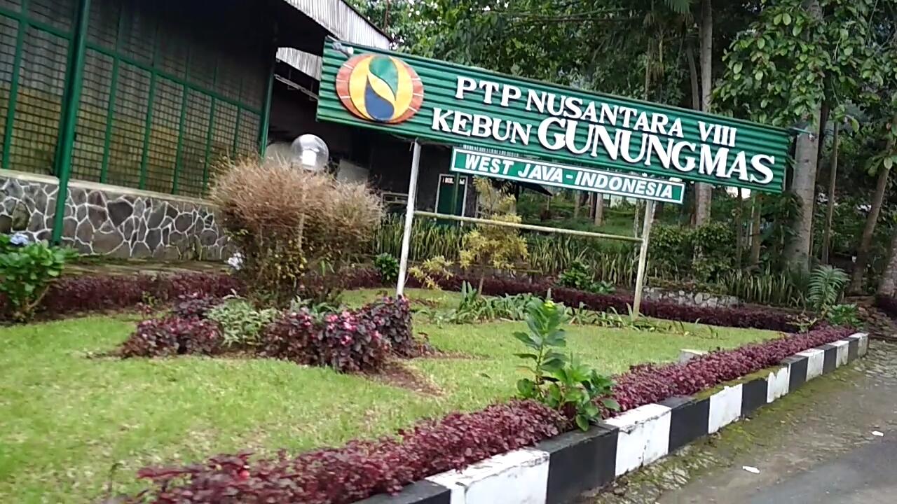 &#91;COC Regional : Lokasi Wisata&#93; Agrowisata Gunung Mas, Cocok bareng Teman &amp; Keluarga