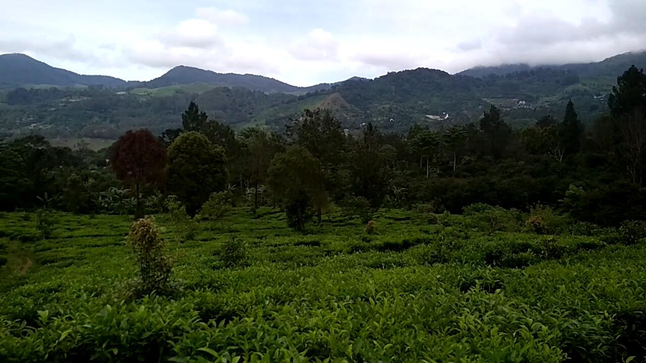 &#91;COC Regional : Lokasi Wisata&#93; Agrowisata Gunung Mas, Cocok bareng Teman &amp; Keluarga