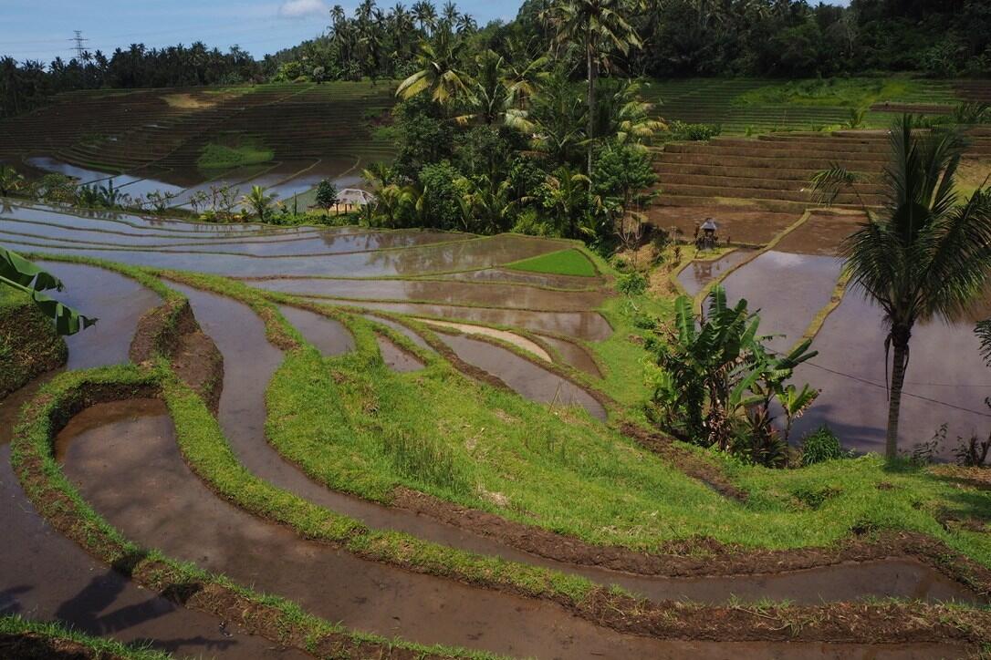 (No SARA+++) Bali Kenapa Jadi Begini, Gan?