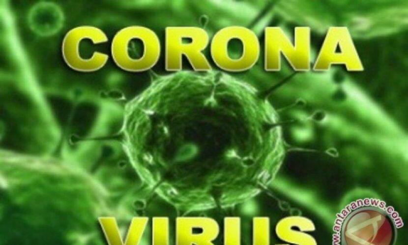 Ternyata Virus Corona Ada Manfaatnya, Agan Tidak Yakin Ya? Yuk Kita Cek Gan!