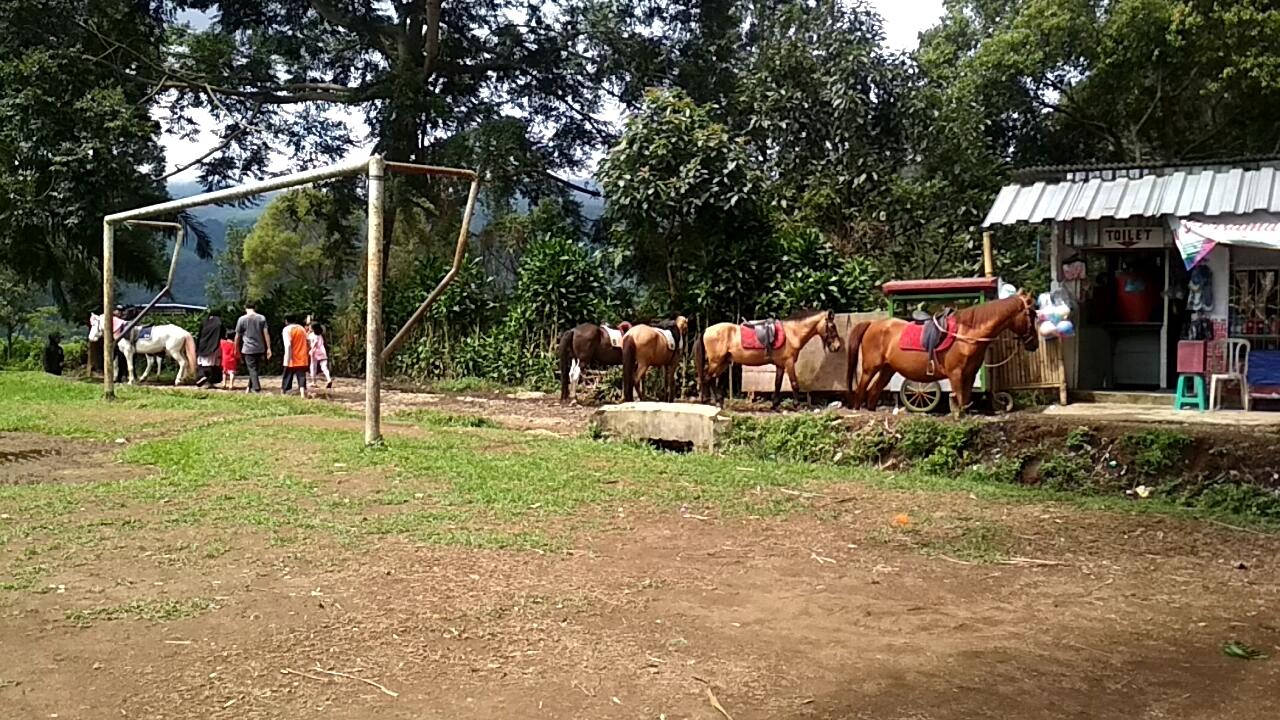 &#91;COC Regional : Lokasi Wisata&#93; Agrowisata Gunung Mas, Cocok bareng Teman &amp; Keluarga