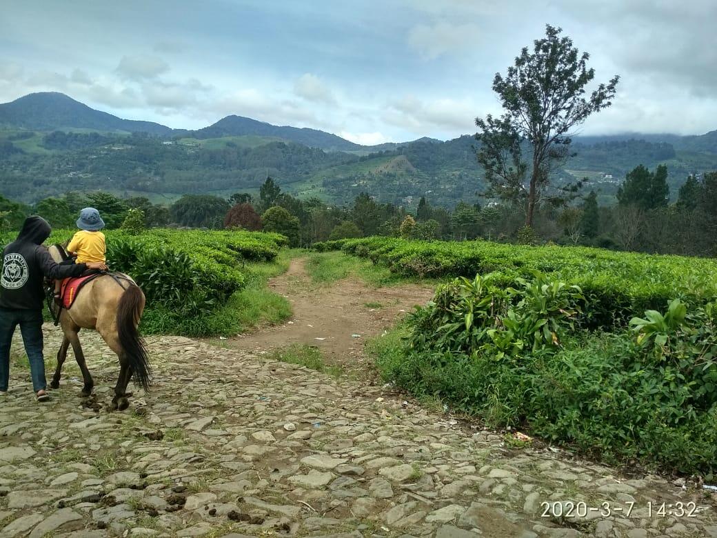 &#91;COC Regional : Lokasi Wisata&#93; Agrowisata Gunung Mas, Cocok bareng Teman &amp; Keluarga