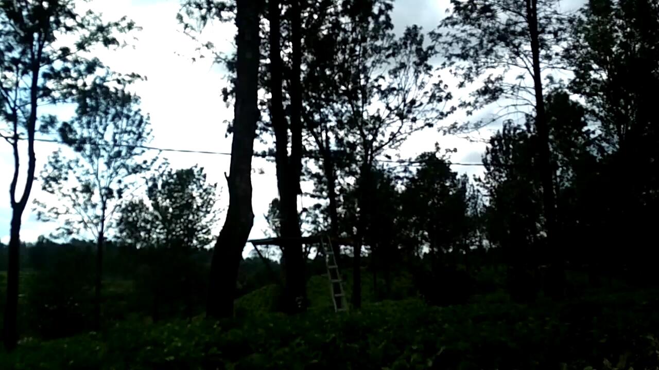&#91;COC Regional : Lokasi Wisata&#93; Agrowisata Gunung Mas, Cocok bareng Teman &amp; Keluarga