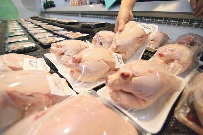 Cara Bisnis Ayam Karkas