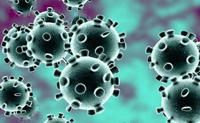 Lakukan Aksi Konyol Demi Mencegah Virus Corona, Pria Korea Kehilangan Belasan Juta