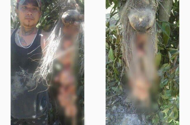 Kuyang Si Hantu Kalimantan