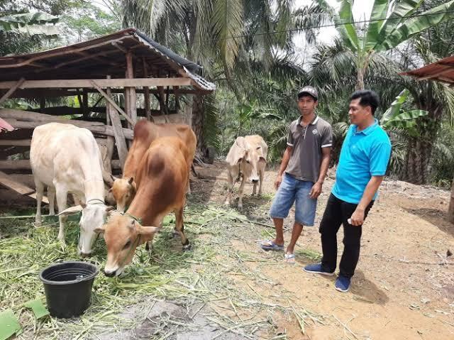 Kejahatan Jaman Dulu Dan Sekarang, Mana Yang Lebih Marak?
