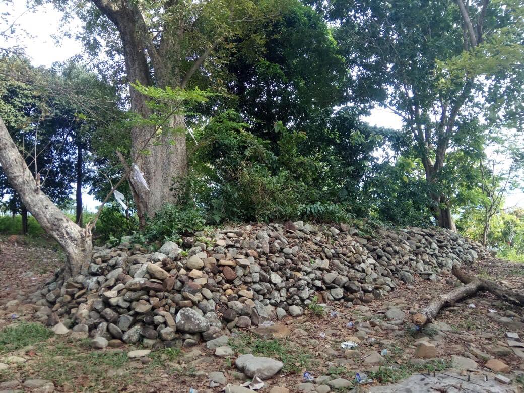 Mahluk Hitam Besar Itu Selalu Mengikuti Erna !