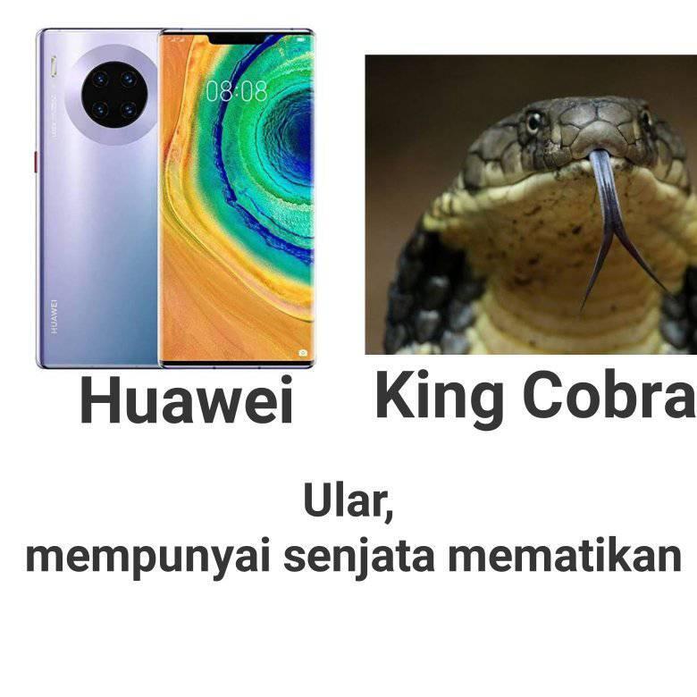 Jika Handphone Di Ibaratkan Hewan