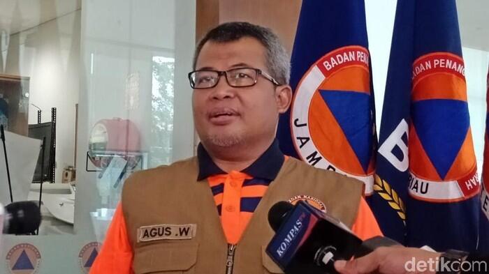 BNPB Tunggu Daerah Tetapkan Status Darurat Bencana Corona