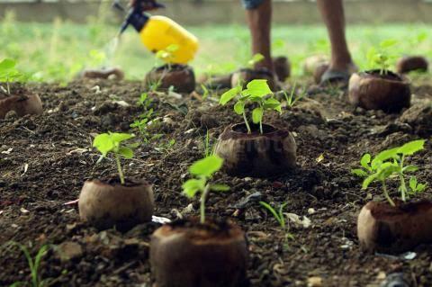 Mengatasi Jenuh Libur Corona Ala Orang Kampung!
