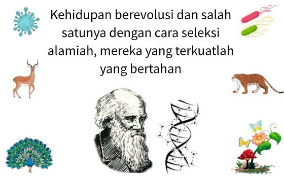 Corona - Covid-19, proses seleksi alam dalam evolusi?