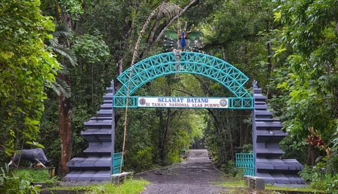 Liburan Ke Alas Purwo Yang Memakan Nyawa