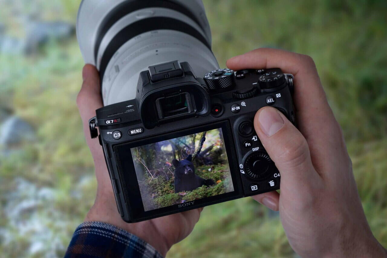 3 Situs Pembuat Web Terbaik Bagi Para Fotographer