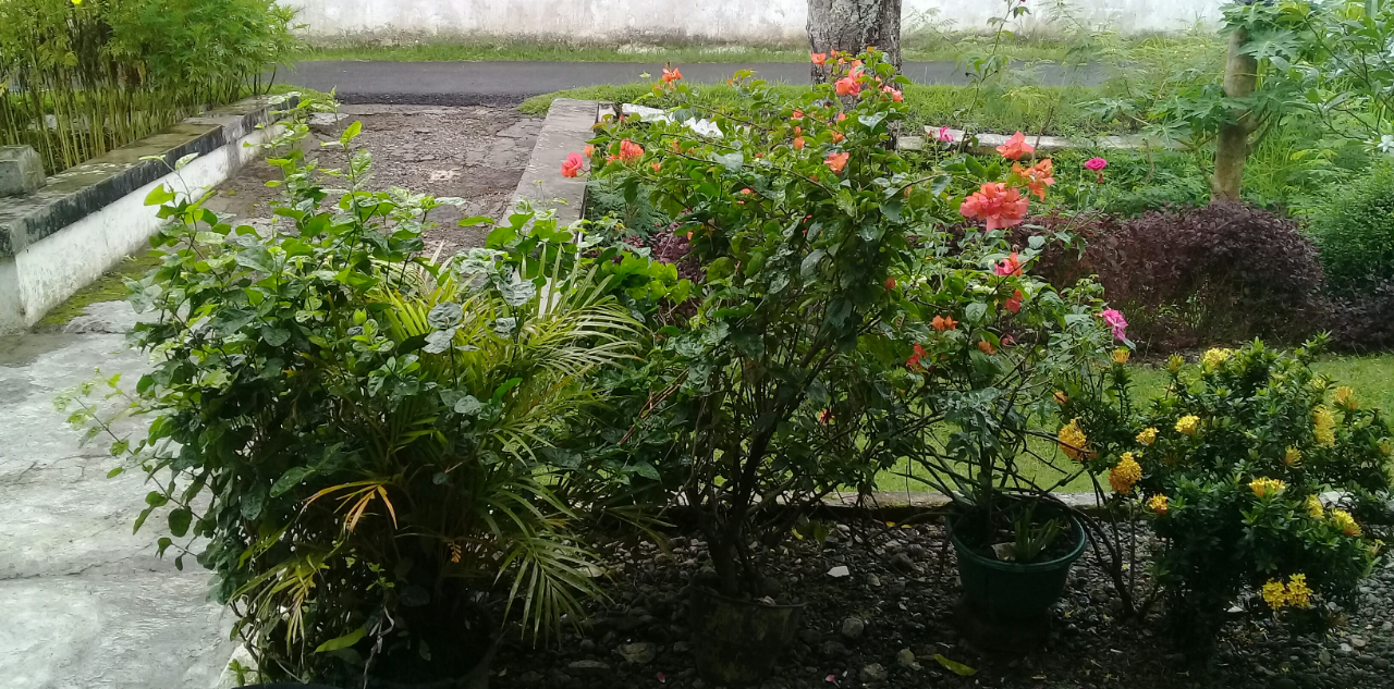 Kegiatan yang Bisa Dilakukan di Rumah Versi Ane, Cekidot!
