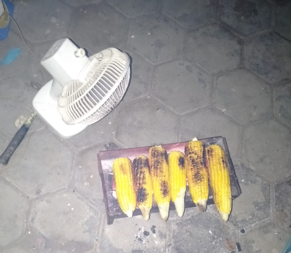 Jenuh di Rumah Gara-gara Virus Corona? Lakukan Aktivitas Berikut, Dijamin Seru!