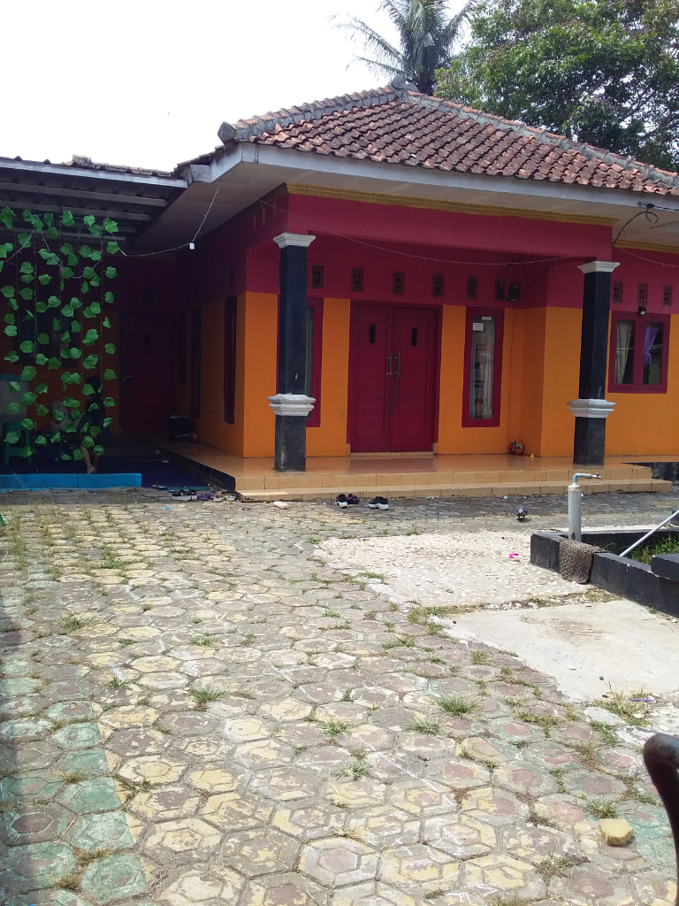 Liburan Asyik Di Rumah