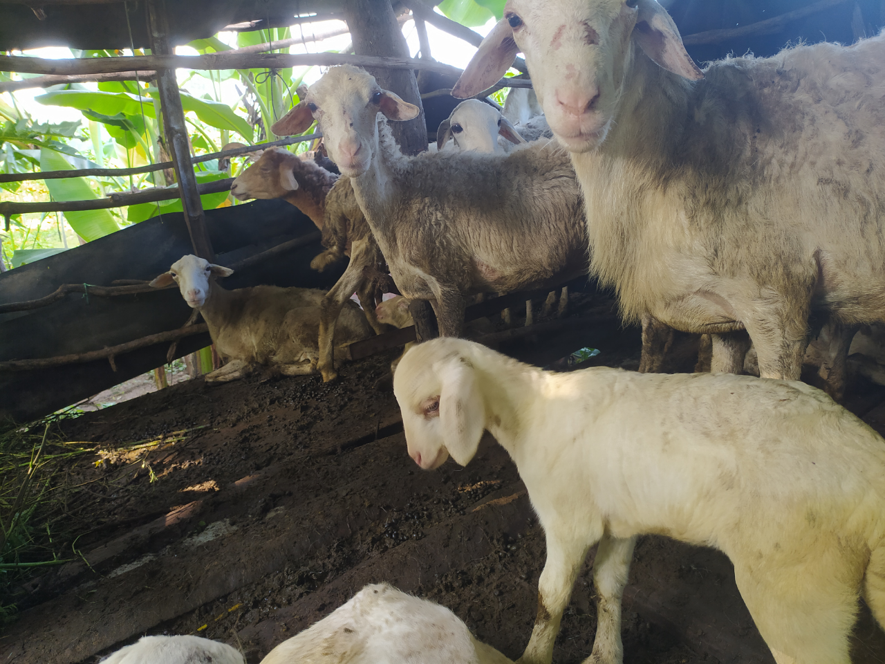 Hal Seru Yang Bisa Lo Lakuin Saat Liburan Panjang