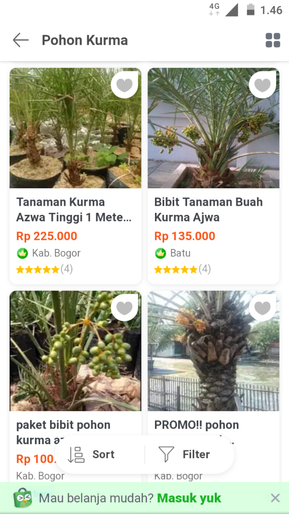Ini Kegiatan Ane Saat Libur