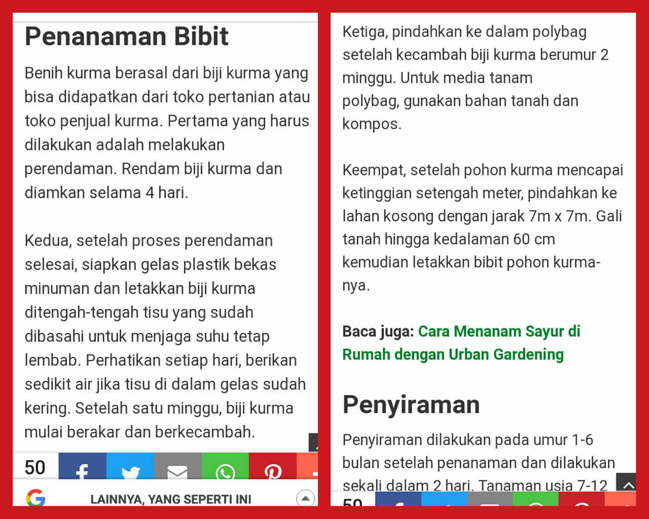 Ini Kegiatan Ane Saat Libur