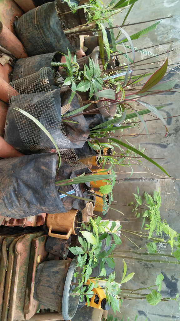 Ini Kegiatan Ane Saat Libur