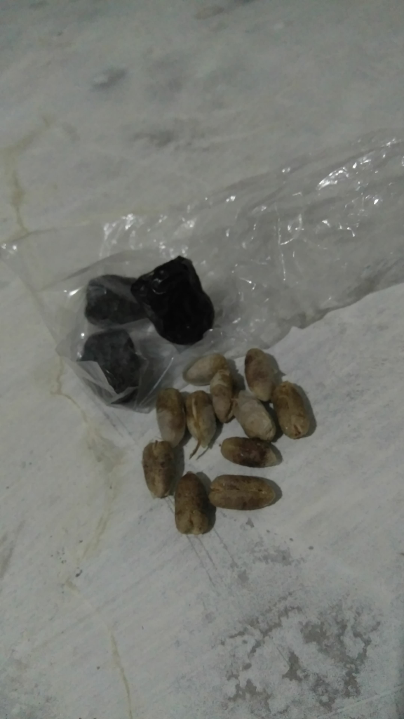Ini Kegiatan Ane Saat Libur