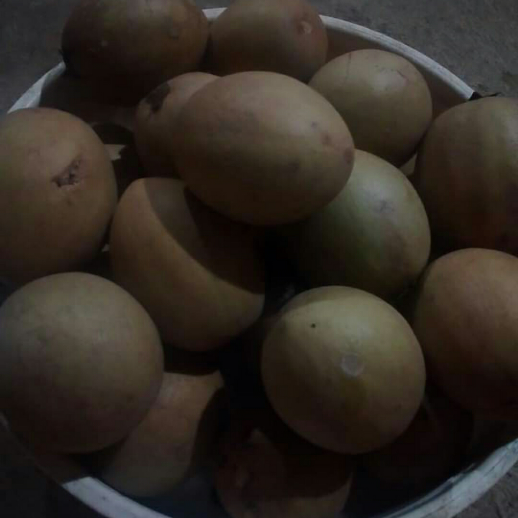 Mumpung di Rumah, Ini Empat Cara Mengusir Kejenuhan Versi Ane Termasuk Selfi! 