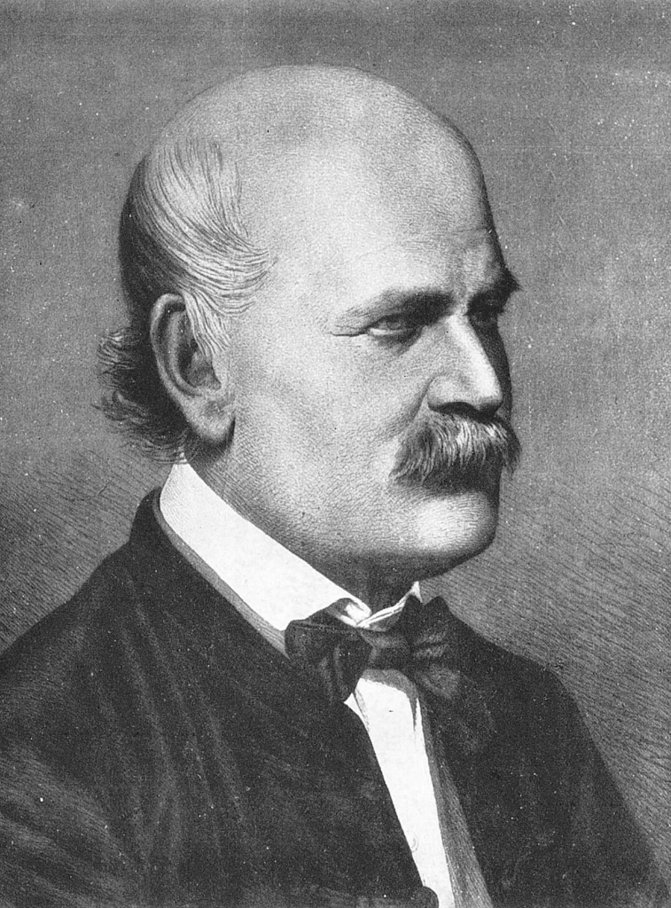 Ignaz Semmelweis, Pencetus Teori Cuci Tangan Dalam Dunia Medis.