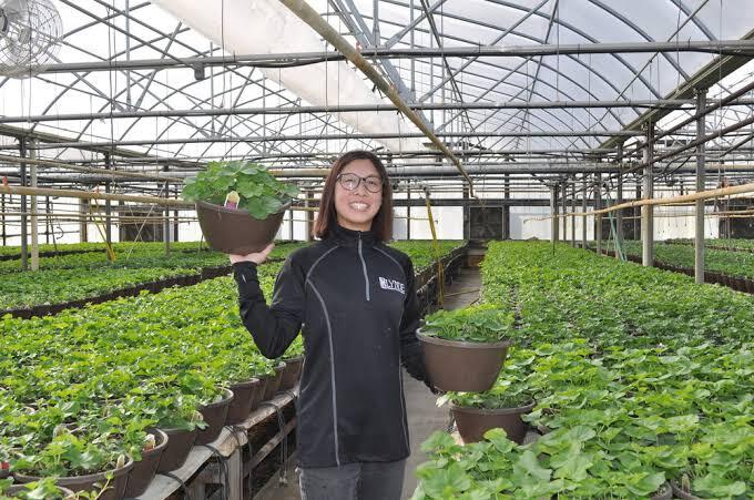 Kuliah Di Pertanian Mau Jadi Apa? Petani?