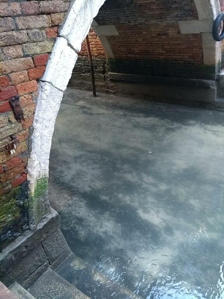 Wah Ajaib! Nilai Positive Virus Corona Sungai Menjaadi Bersih!!